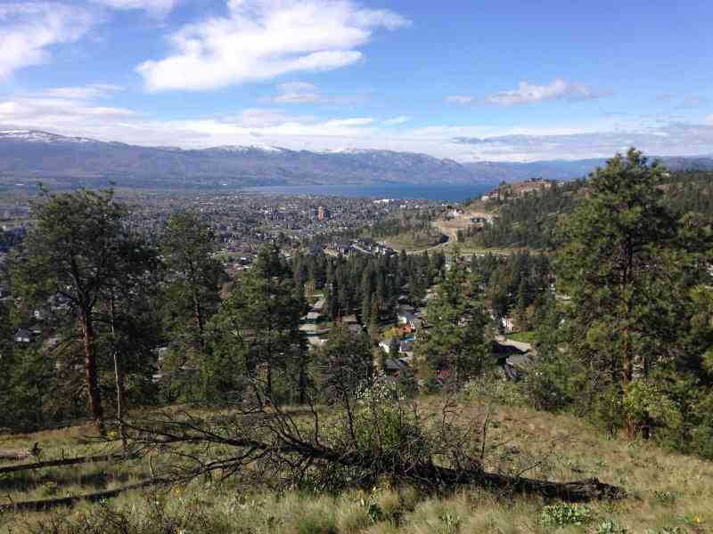 Knox: Grainger Summit Loop