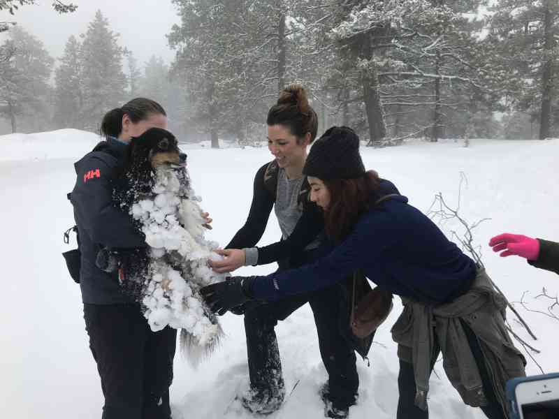 Knox: Grainger Summit Loop