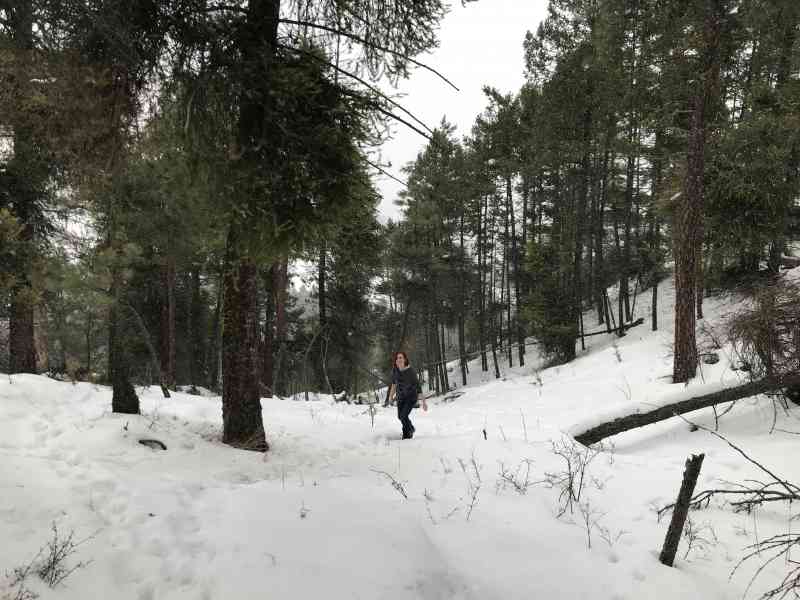 Knox: Grainger Summit Loop