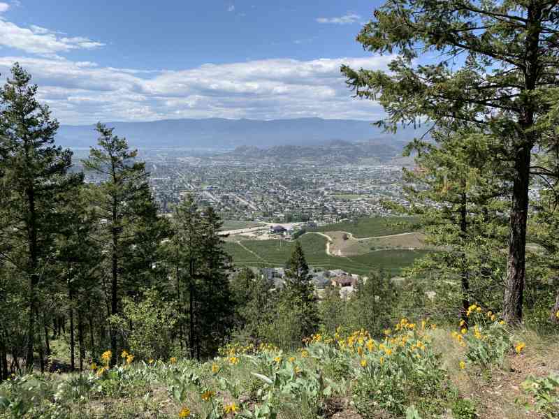 Mine Hill Cell Tower Loop