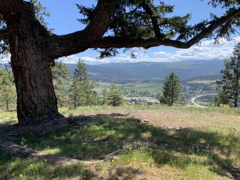 Mine Hill Cell Tower Loop