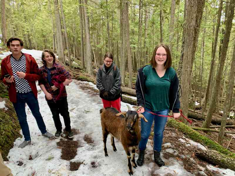 Mt. Rose Swanson - Perimeter Loop