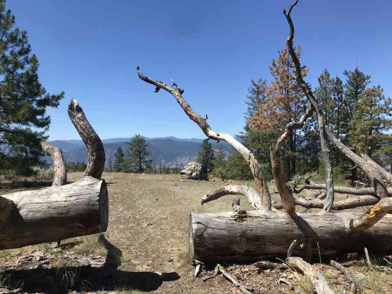 Garnet Valley Lookout