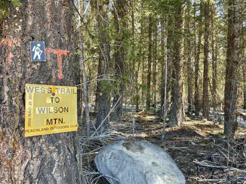 Wilson Mountain - Wes's Trail