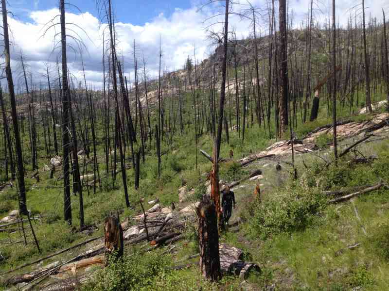 Okanagan Mountain Park: Exterior Perimeter