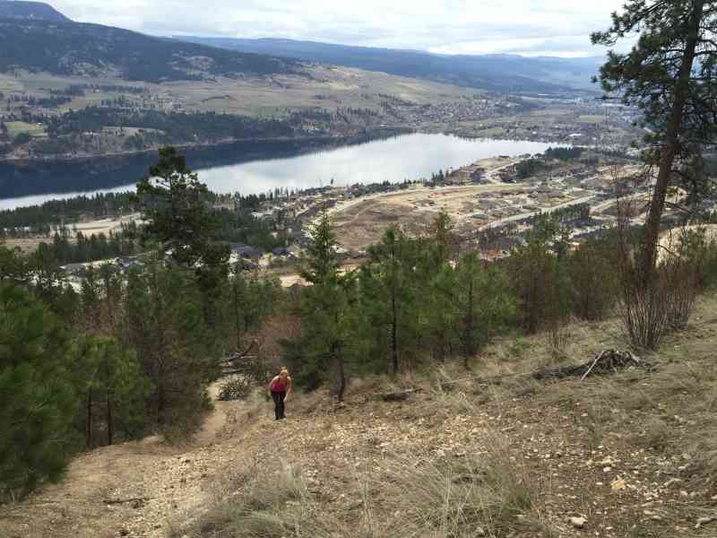 Spion Kopje: Ridgeline/Tower/Paintbrush Loop