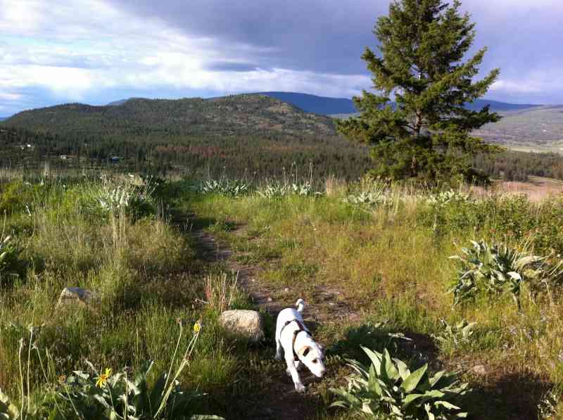 Stephens Coyote Ridge: Light Blue Lake