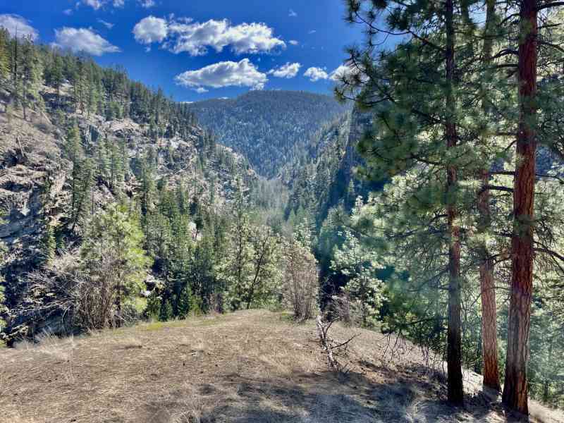 Gallagher's Canyon-Tree of Wisdom