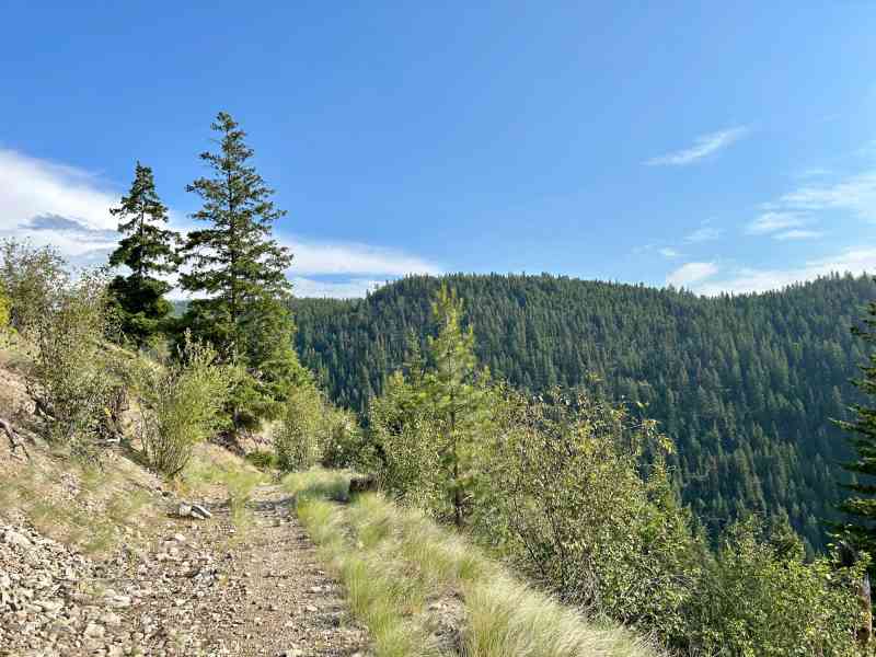 East McCulloch Exploratory